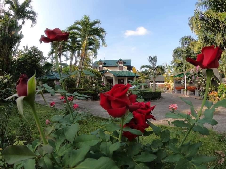 Ekman Garden Resort Сішон Екстер'єр фото